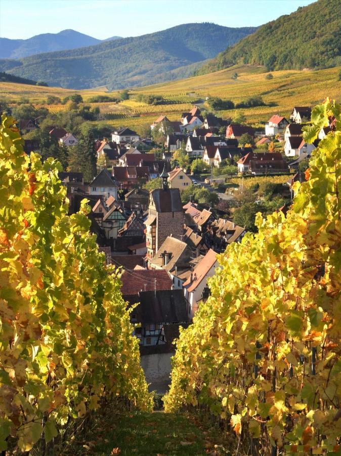 Adrihof A Riquewihr, Cour De L'abbaye D'autrey * Riquewihr